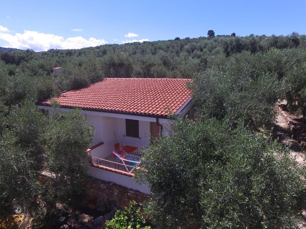 Zagare Residence Rodi Garganico Luaran gambar